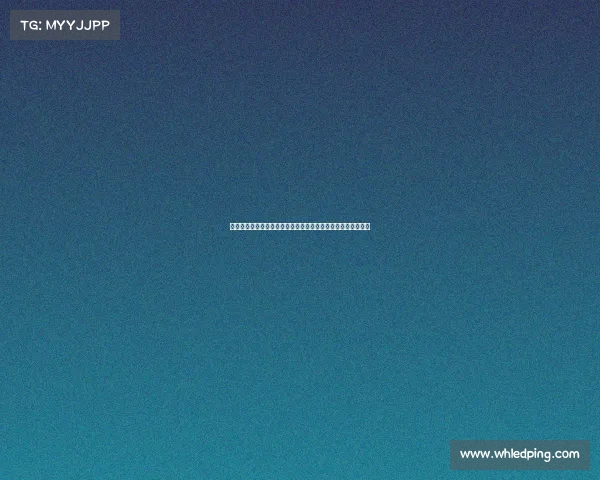 篮球顶级赛事经典回放全场录像精华重温激烈对决精彩瞬间集锦