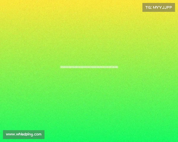 北京昆仑决赛事、北京昆仑决掀起格斗风暴首都赛事盛大开幕汇聚全球高手期待巅峰对决