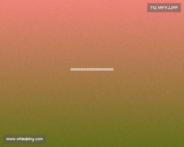 越野赛攻略越野穿越赛事费用预算规划与成本控制实战指南详解